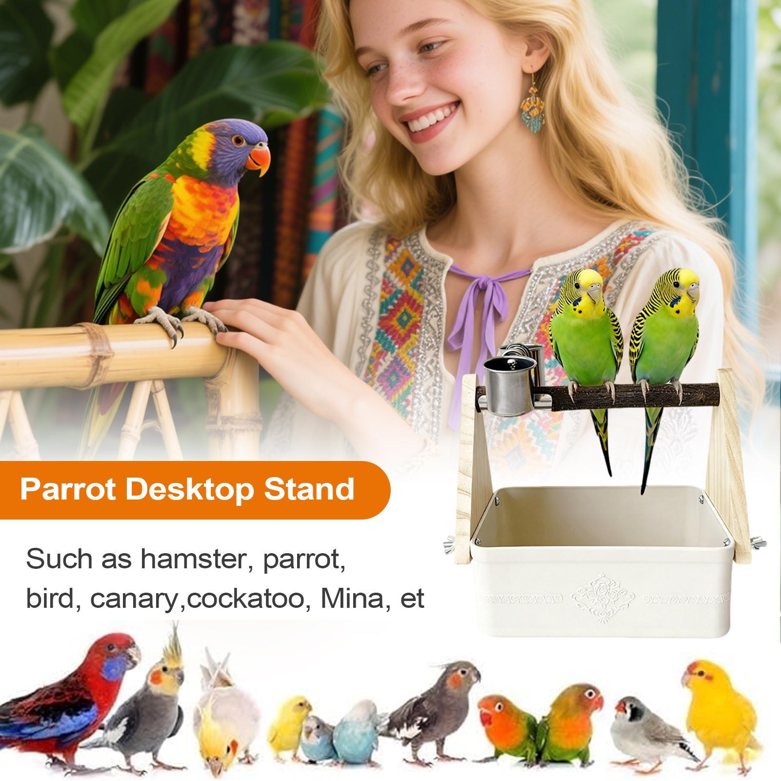 Pet Supplies Zoo - Kuş Masa Üstü Tünek Sevgili Kuşları
