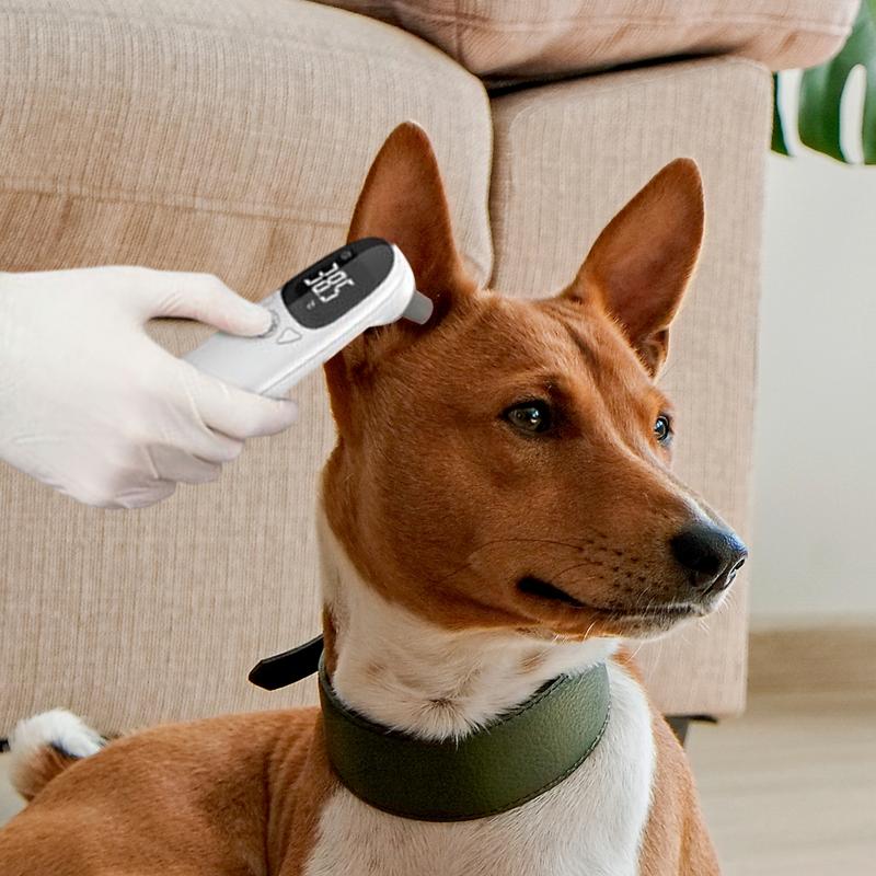 Pet Supplies Vet - Köpekler için evcil hayvan termometreleri Veteriner