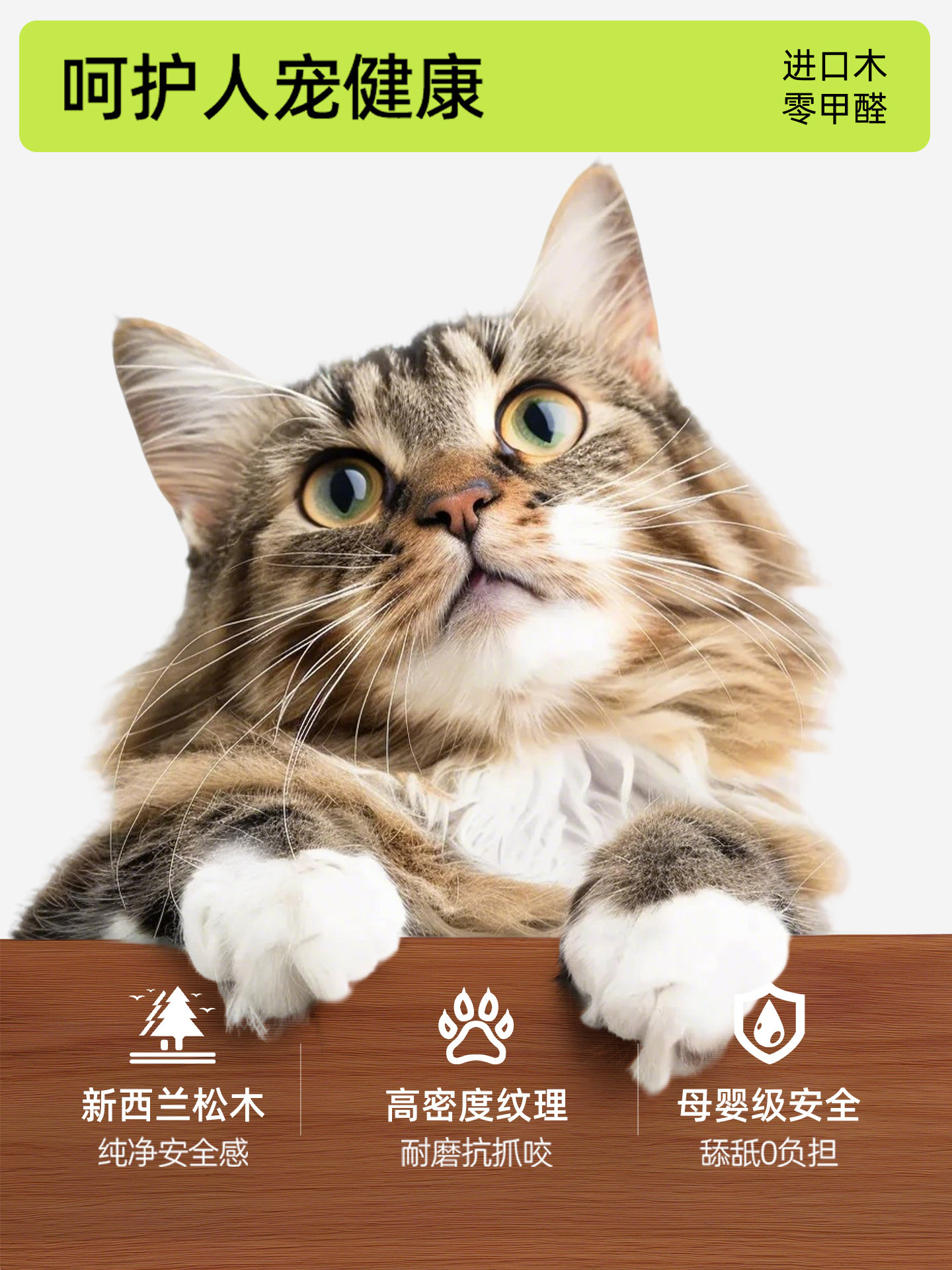 İlk renk ortaçağ tarzı kedi ve - Pet Supplies First incelemesi ve fiyatı