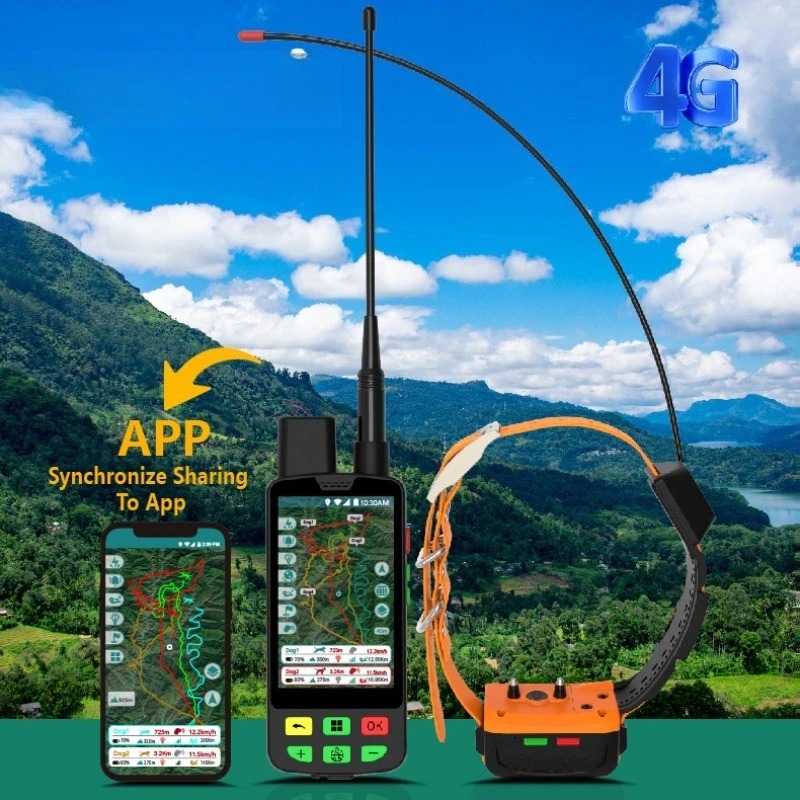 4G GPS Köpek Tasması, Radyo Ta - Pet Supplies Locations incelemesi ve fiyatı
