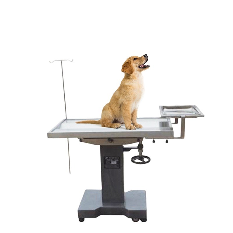 Evcil Hayvanlar İçin Tıbbi Ame - Pet Supplies Vet incelemesi ve fiyatı