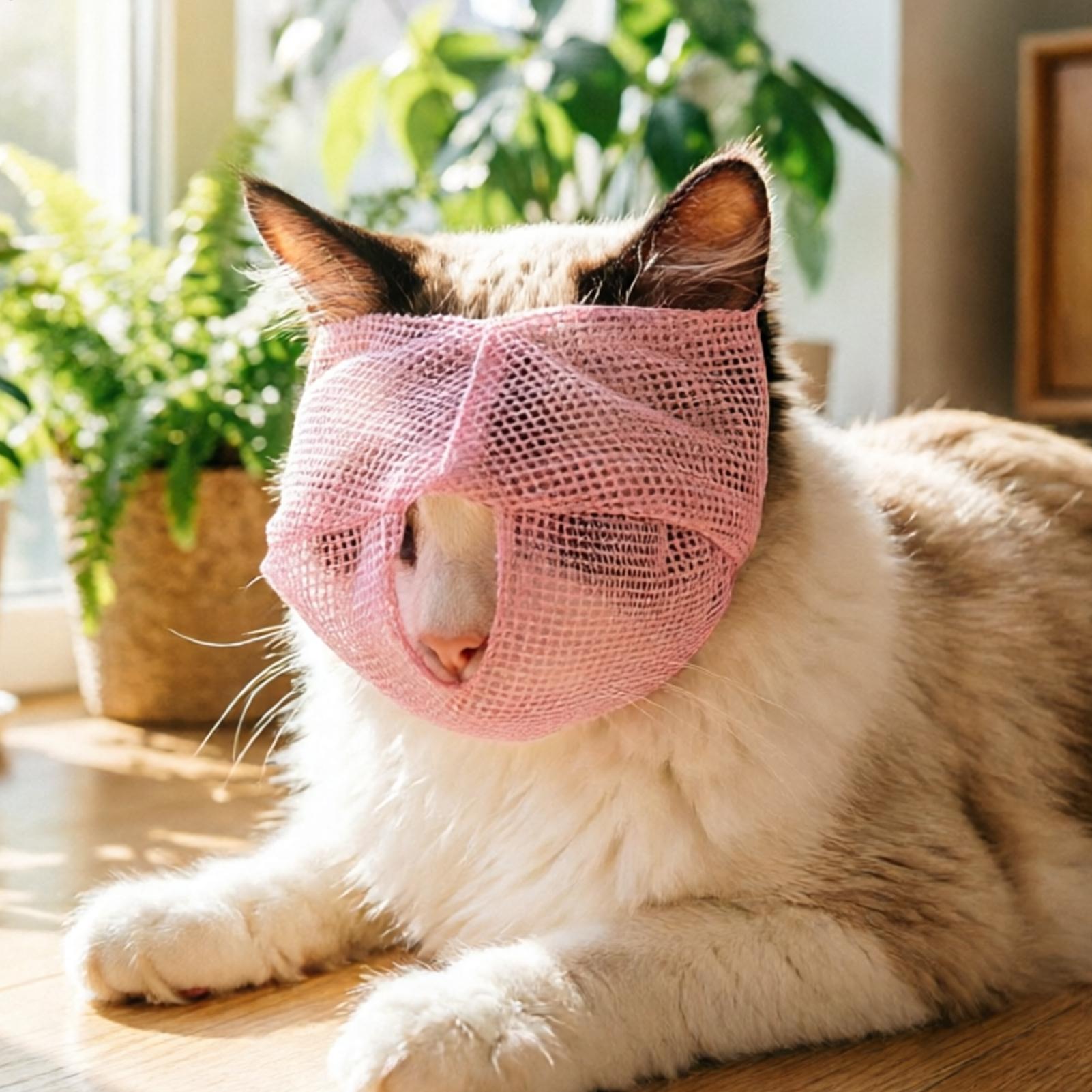 Kedi Ağızlığı Nefes Alabilen F - Pet Supplies Vet incelemesi ve fiyatı