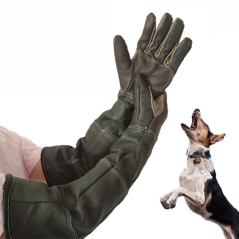 Pet eldiven inek derisi deri a - Pet Grooming Glove incelemesi ve fiyatı