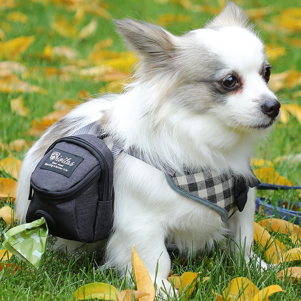 Taşınabilir Köpek Eğitim Tedav - Pet Stroller Carrier incelemesi ve fiyatı