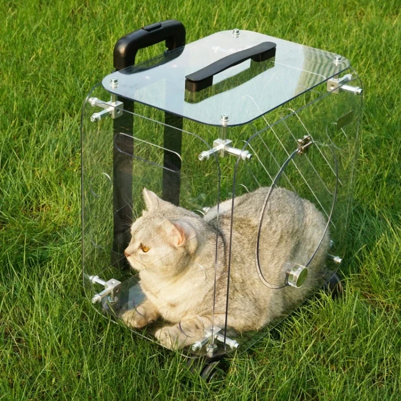 Iyi görünümlü evcil hayvan ara - Pet Stroller Carrier incelemesi ve fiyatı