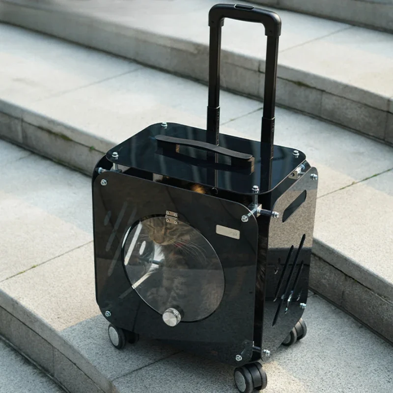Iyi görünümlü evcil hayvan ara - Pet Stroller Carrier incelemesi ve fiyatı