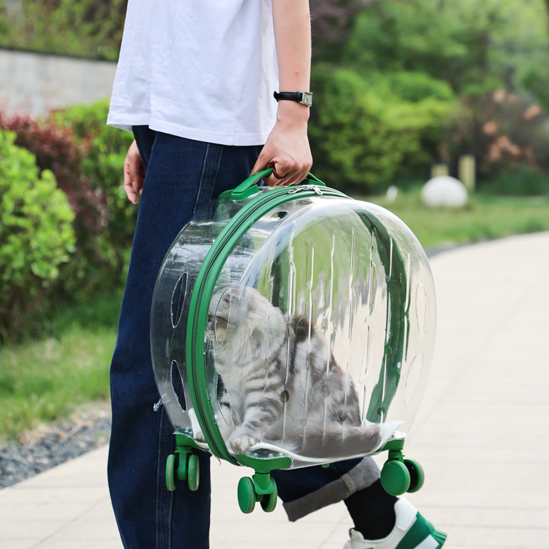 Pet Kedi Köpek Çantası Arabası - Pet Stroller Carrier incelemesi ve fiyatı