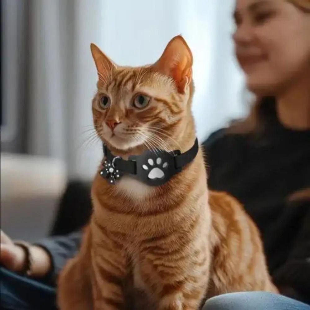 YENİ Gece Görüşlü Evcil Hayvan - Pet Supplies Locations incelemesi ve fiyatı