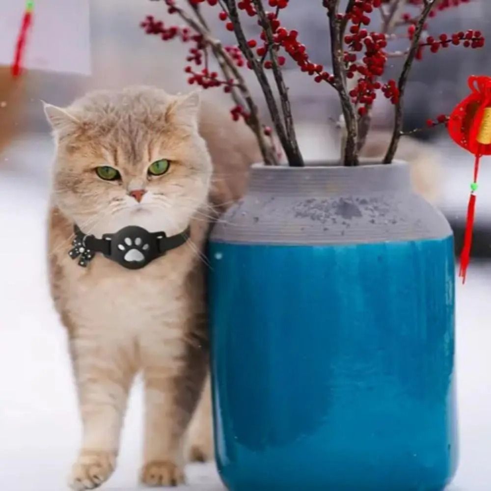 YENİ Gece Görüşlü Evcil Hayvan - Pet Supplies Locations incelemesi ve fiyatı