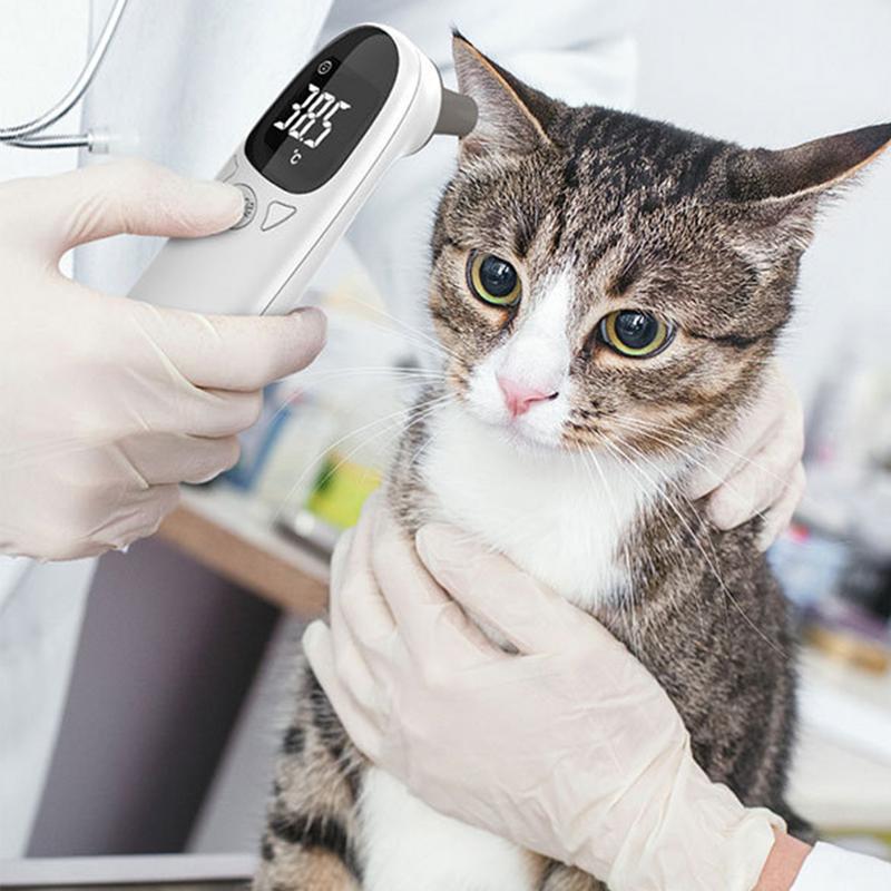 Köpekler için evcil hayvan ter - Pet Supplies Vet incelemesi ve fiyatı