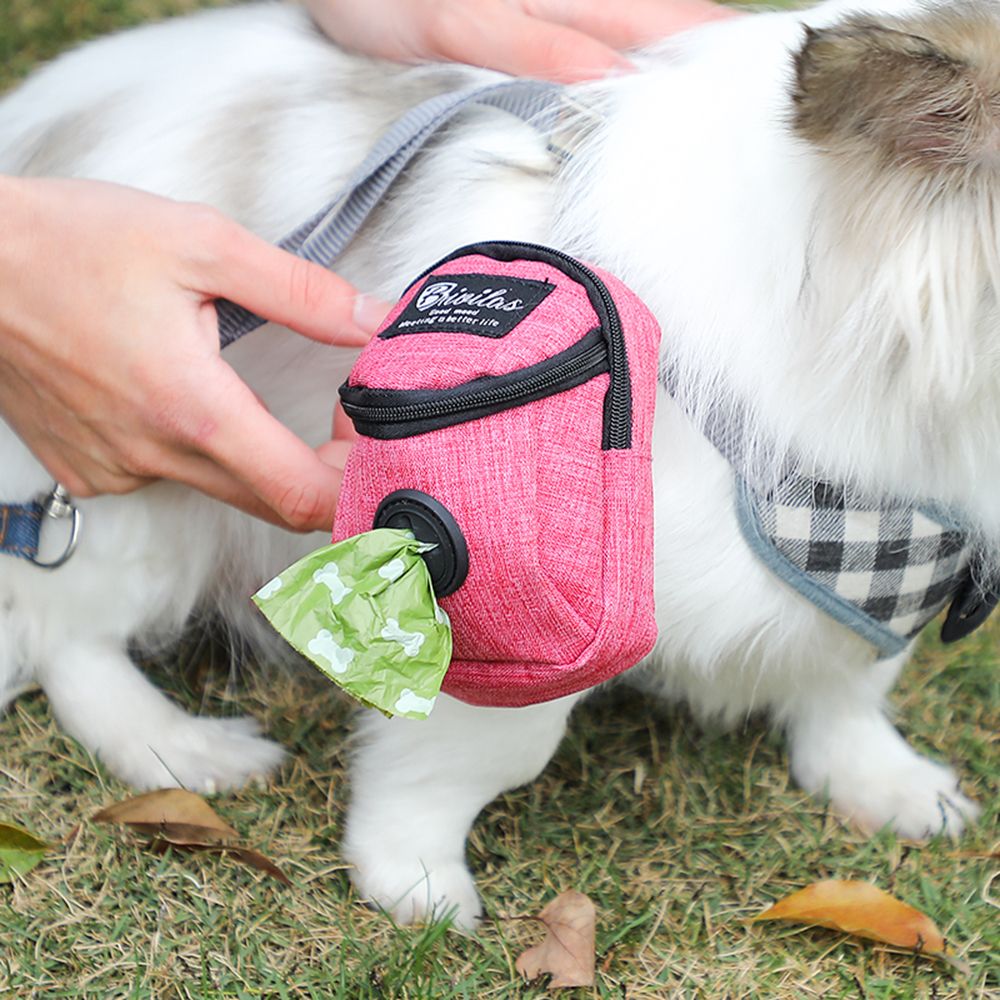 Pet Köpek tedavi çantası Taşın - Pet Stroller Carrier incelemesi ve fiyatı
