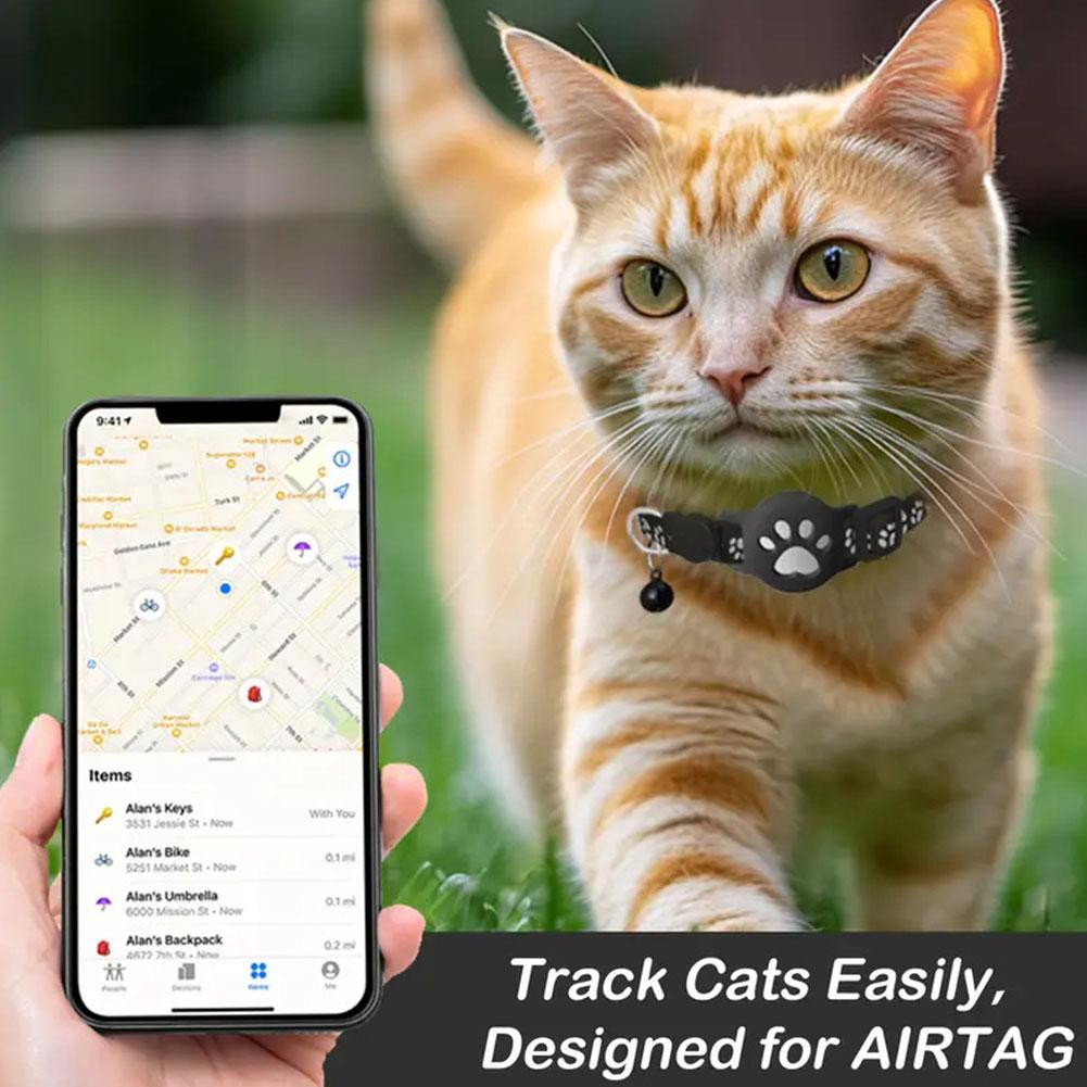 Yaratıcı Kedi Paw Tasarım Pet  - Pet Supplies Locations incelemesi ve fiyatı