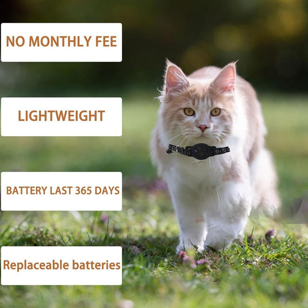 Yaratıcı Kedi Paw Tasarım Pet  - Pet Supplies Locations incelemesi ve fiyatı