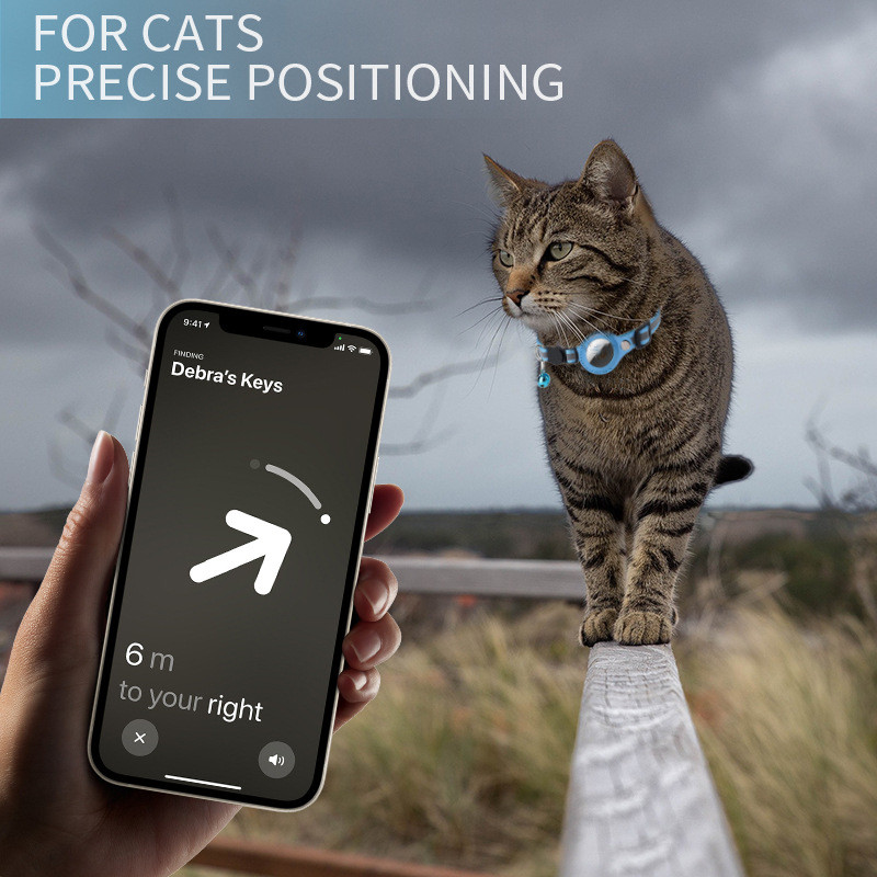 Hava etiketi durumda yaka kedi - Pet Supplies Locations incelemesi ve fiyatı