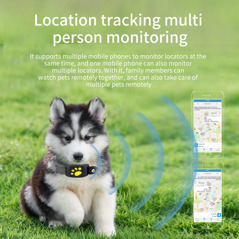 GPS evcil hayvan takip cihazı  - Pet Supplies Locations incelemesi ve fiyatı