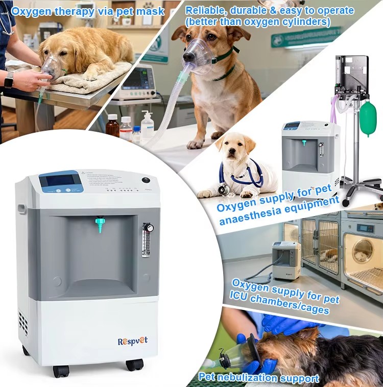 Veteriner Oksijen Besleme Ciha - Pet Supplies Vet incelemesi ve fiyatı