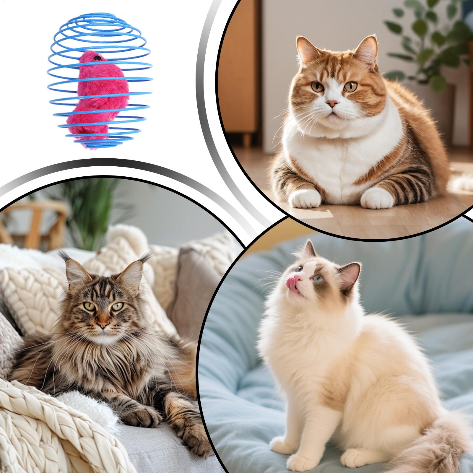 Kedi Spiral Oyuncak İnteraktif - Cat Tunnel Toy incelemesi ve fiyatı