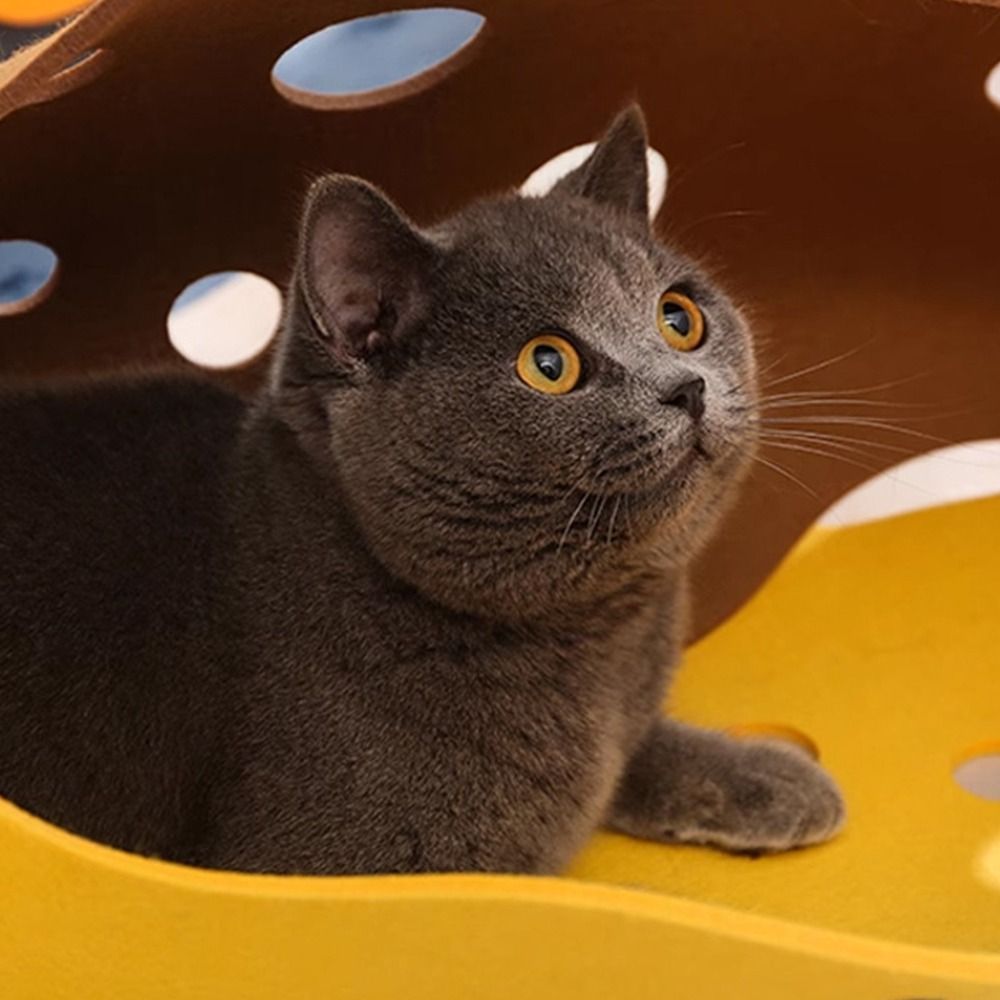Dayanıklı Katlanabilir Kedi Tü - Cat Tunnel Toy incelemesi ve fiyatı