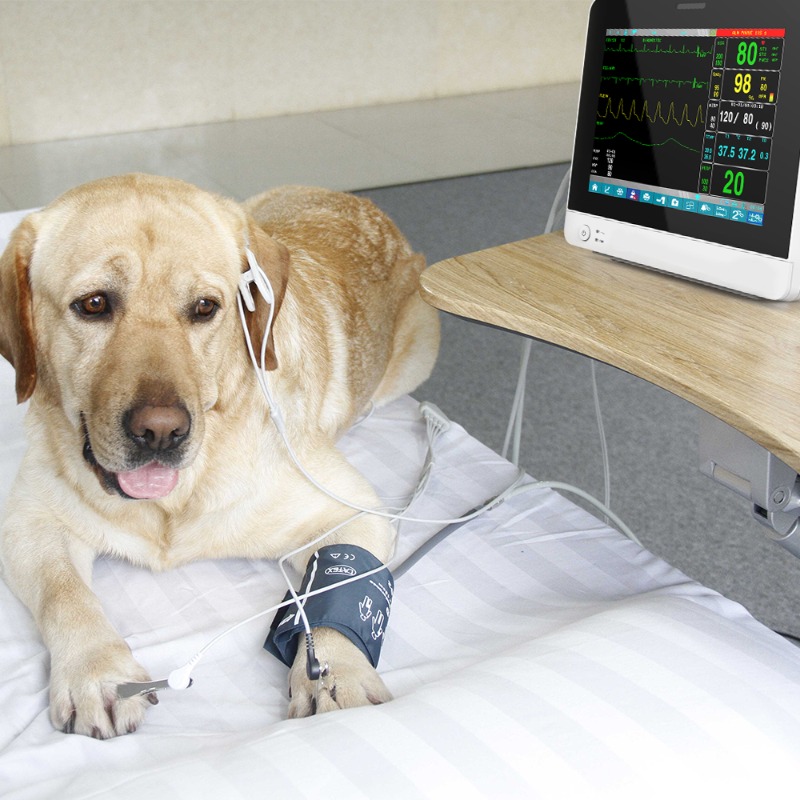 Veteriner Evcil Hayvan Dokunma - Pet Supplies Vet incelemesi ve fiyatı