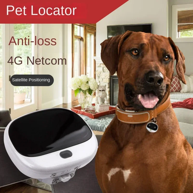 Mini 4G LTE 2G GSM Köpek GPS K - Pet Supplies Locations incelemesi ve fiyatı