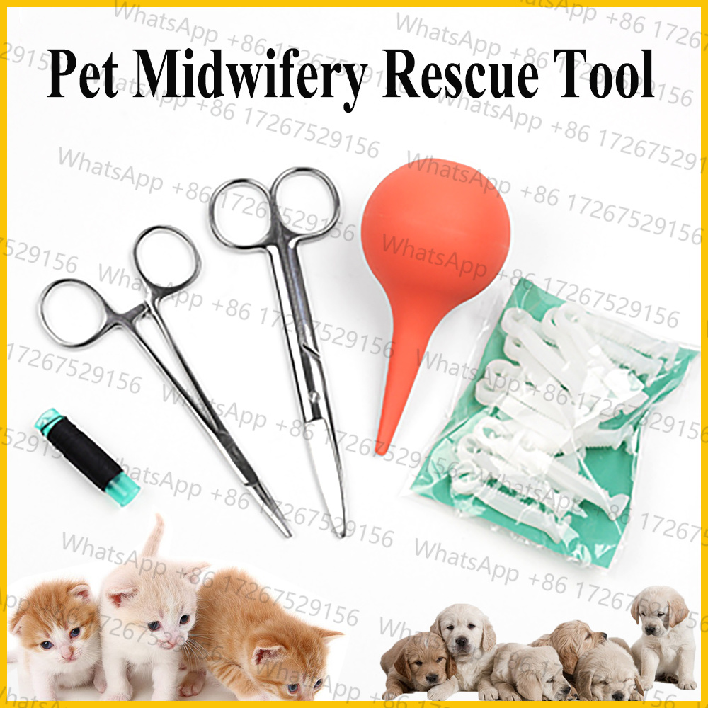 1SET Evcil Köpek Kedi Doğum Sı - Pet Supplies Application incelemesi ve fiyatı